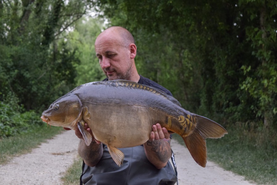 24lb - Nighthawk from Big Girls
