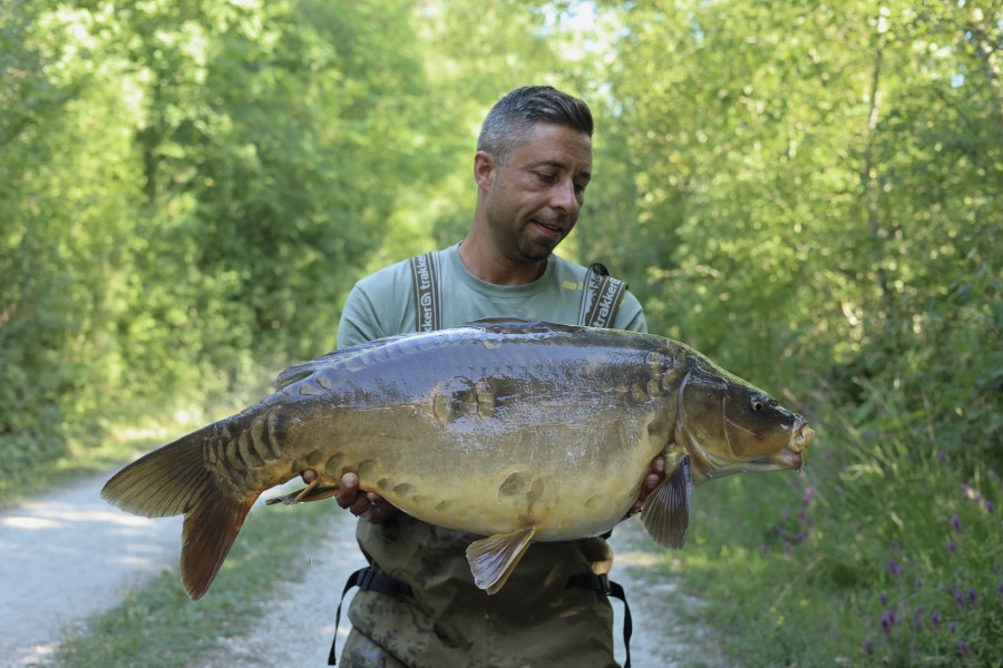 Bernhard with Gogglebox weighing 33lb