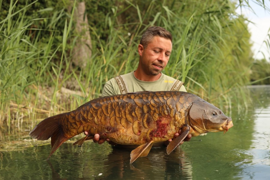 "Scaley banger", Stinger weighing 24lb 8oz