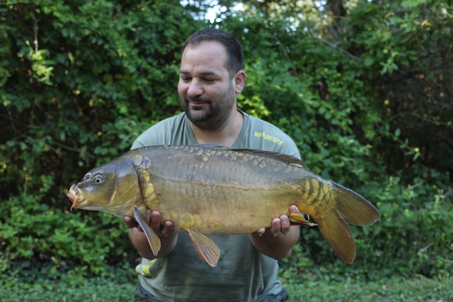 Baz Rat, blank saver at 18lb 8oz in Traz