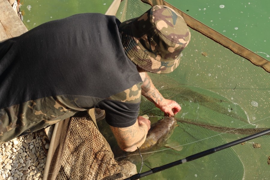 Safely unhooked