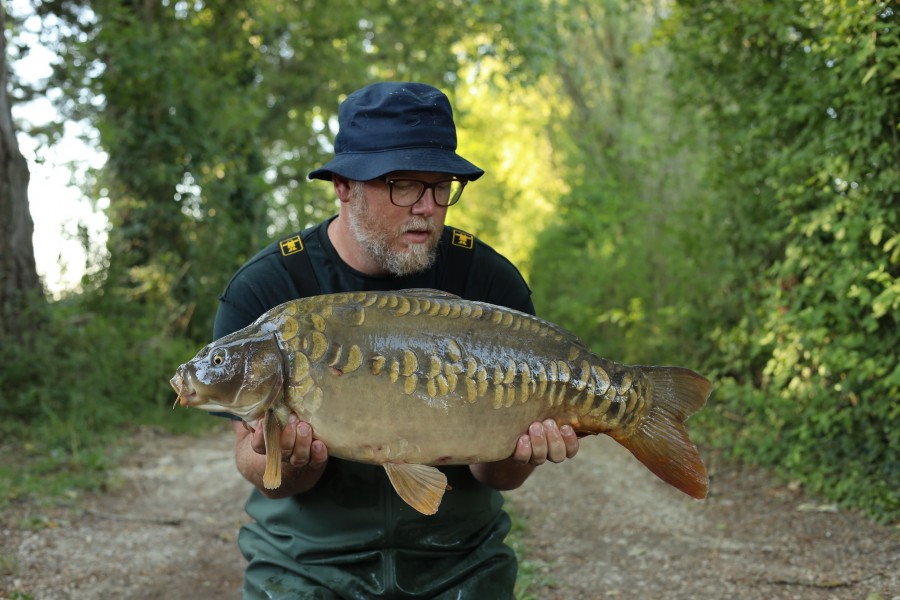 Rich with Golden Scaled Lin