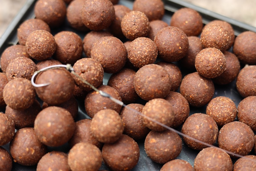 Bait and Rig choice