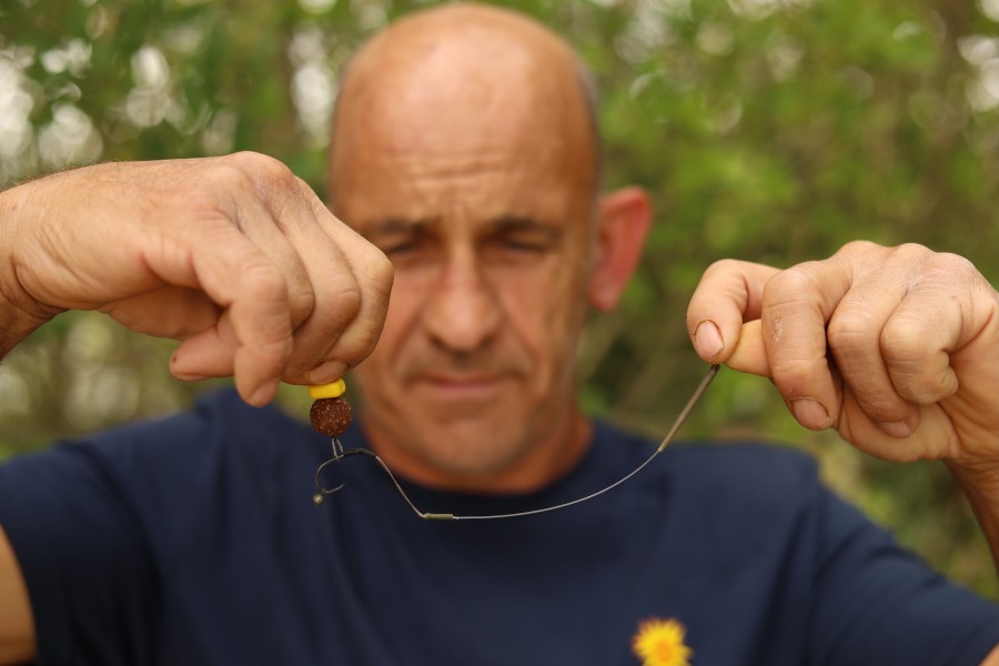 Rig and Hook Bait