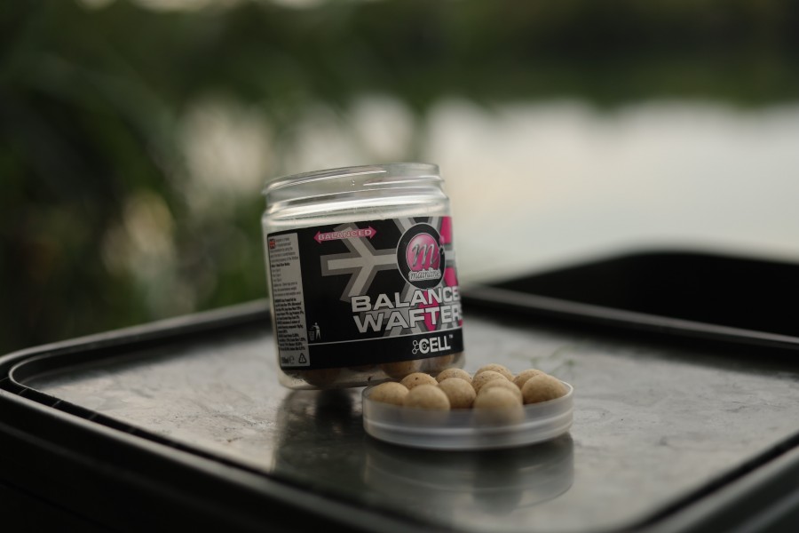 Hook baits for the session