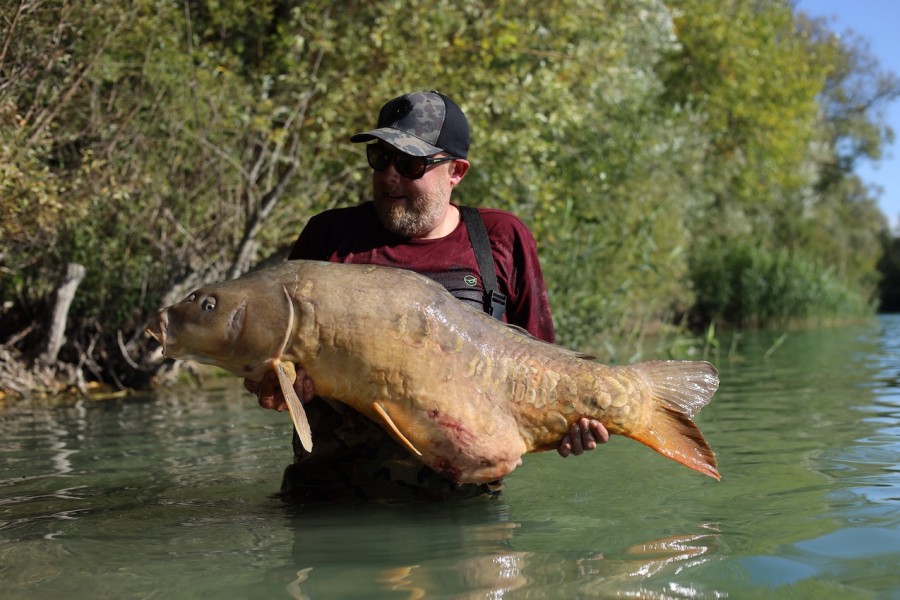 Dave's move to Alamo paid off, White Lines @ 50lb