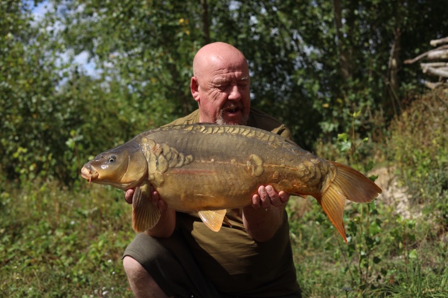 Baz in Pole with Coffee Time 20lb