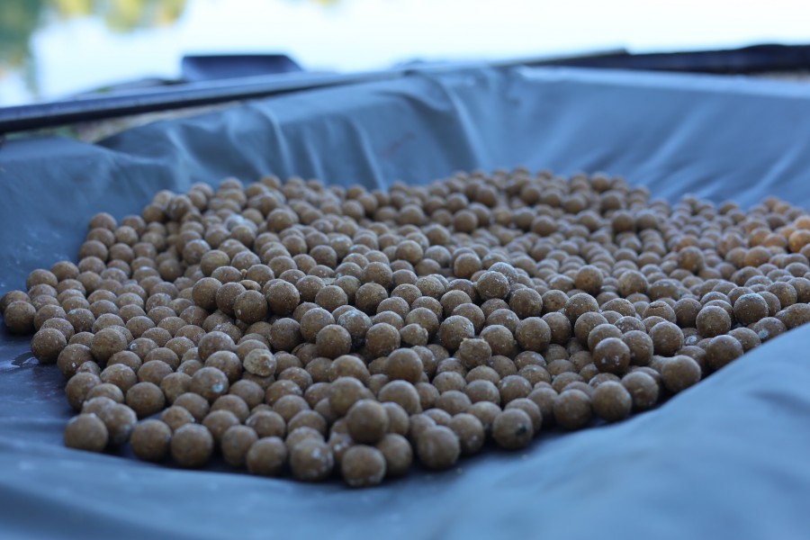 New test bait