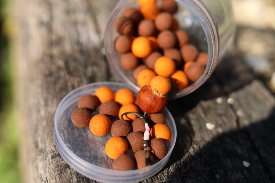 Rig and hook baits