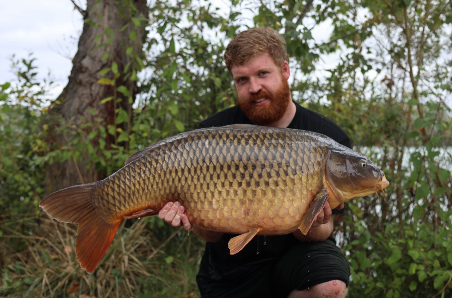 Brownie at 45lb 4oz