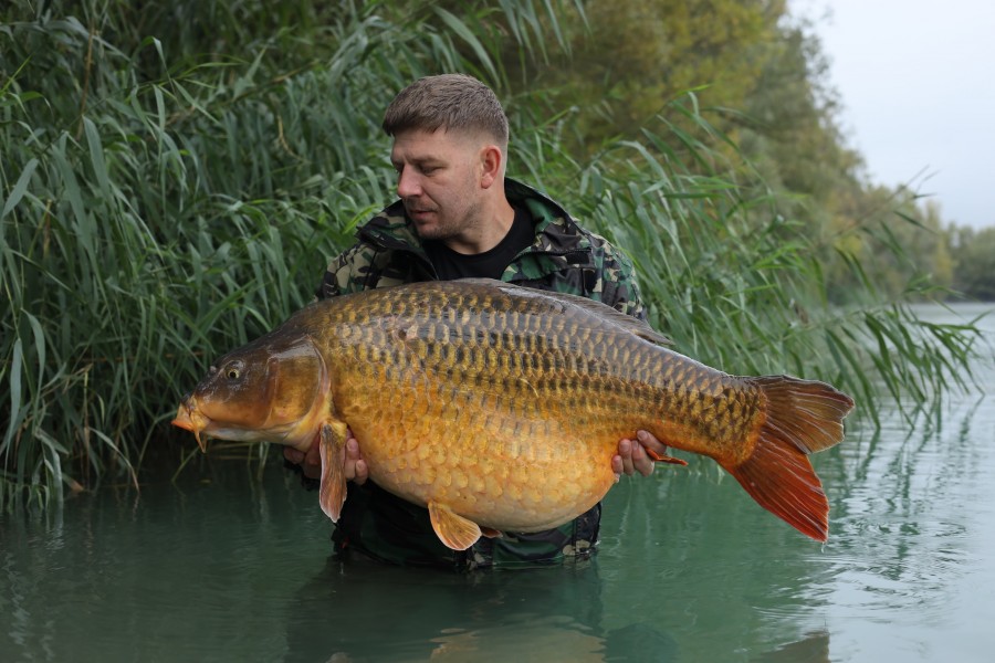 And with the Koi