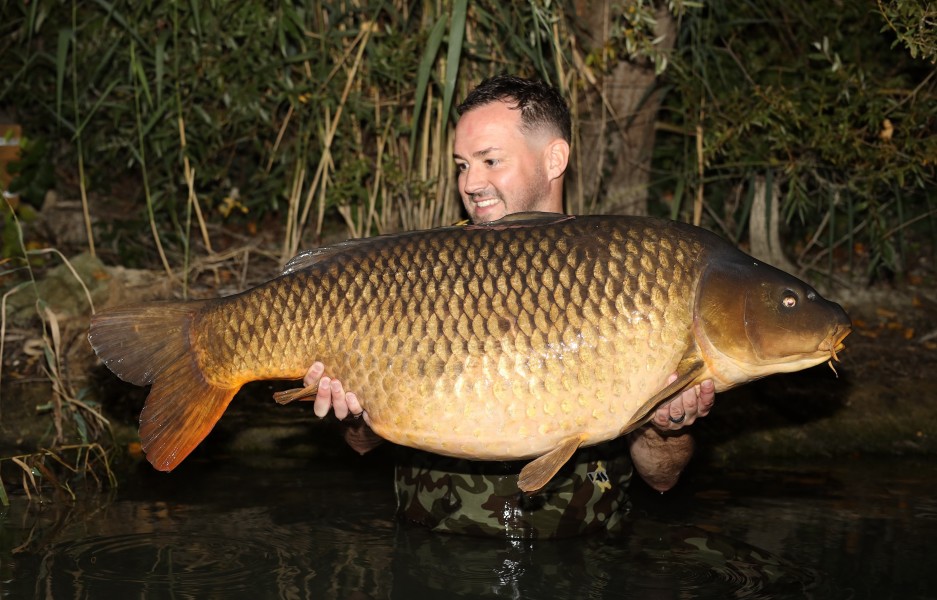 Lewis with Classico