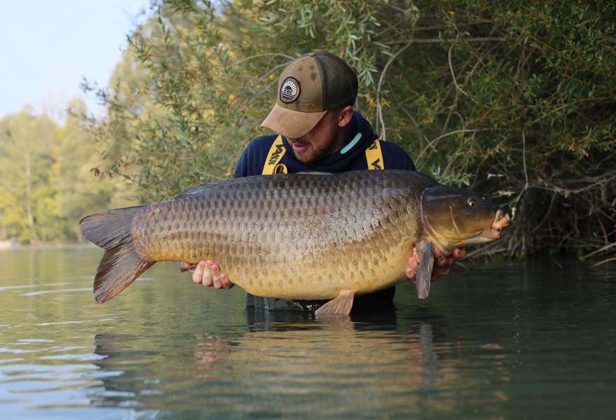 Centurion - 55lb 12oz