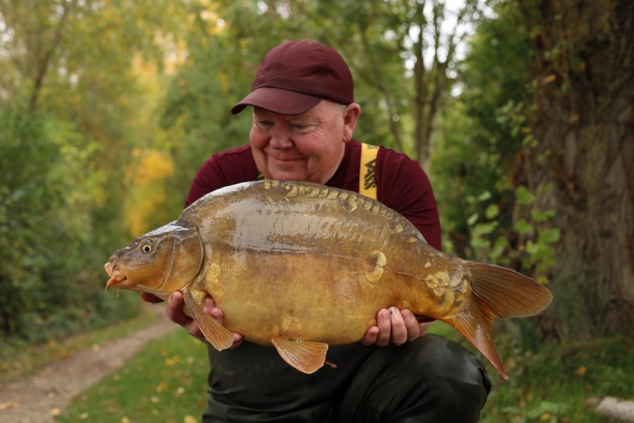 Bill with Dijon @ 17lb