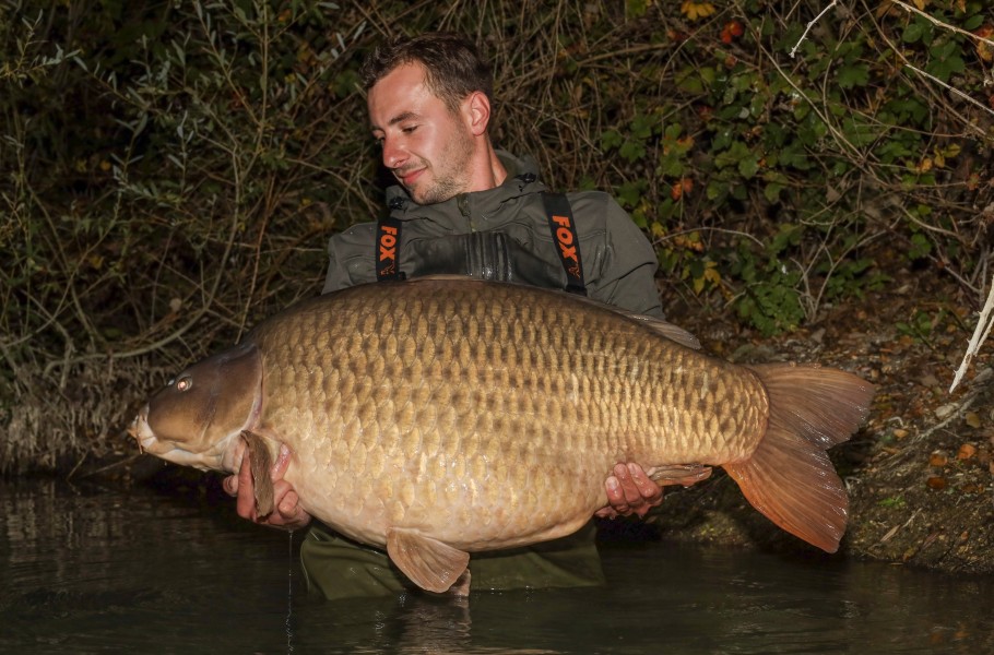 Lippy at a new top weight of 74lb