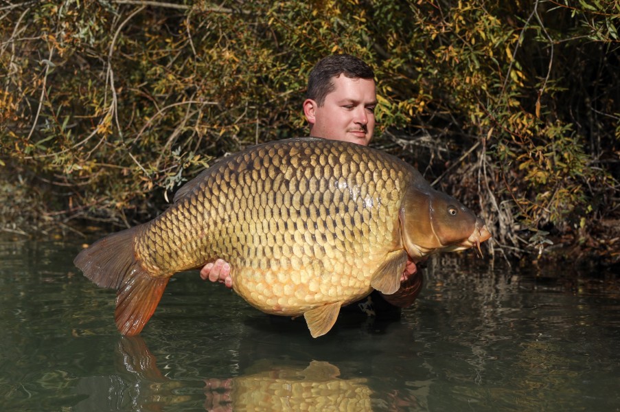 Marcel with Sovereign 60lb 8oz