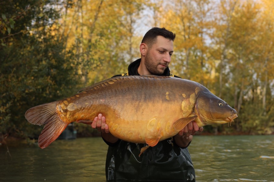 Tiger Fish, 52lb 4oz from Pole