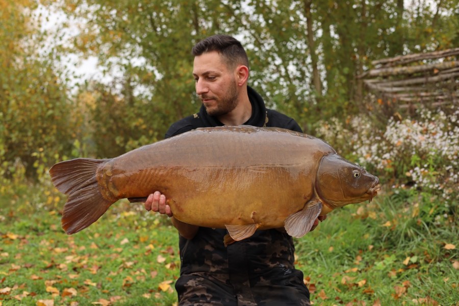 Short Dorsal 47lb