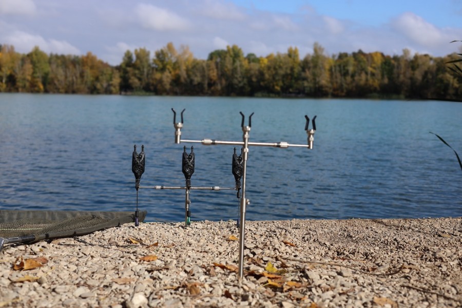 Resting the swims during the days did no harm