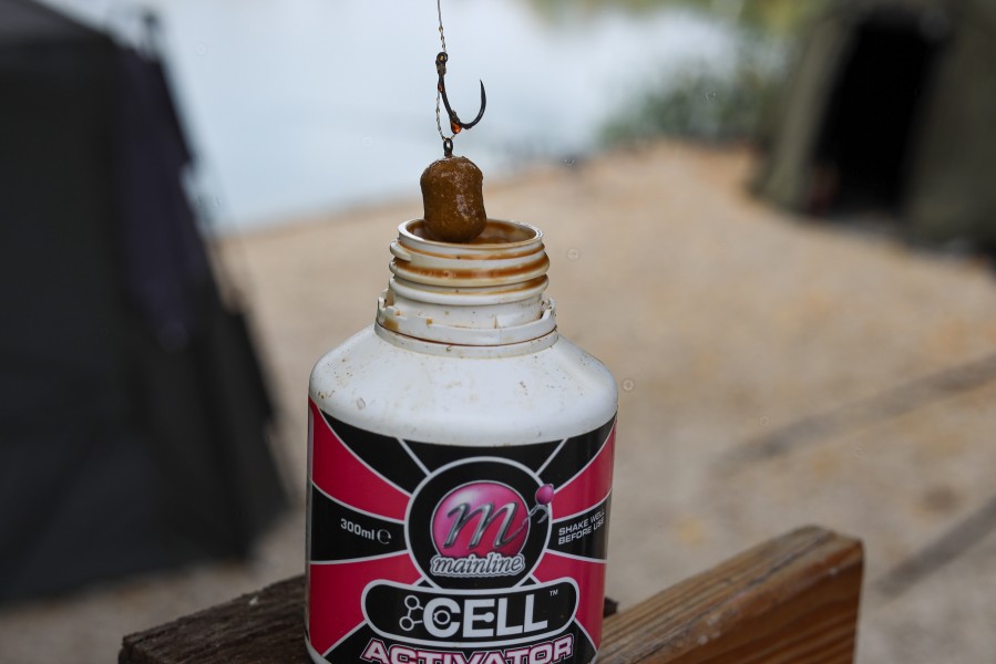 Quick dunk before casting