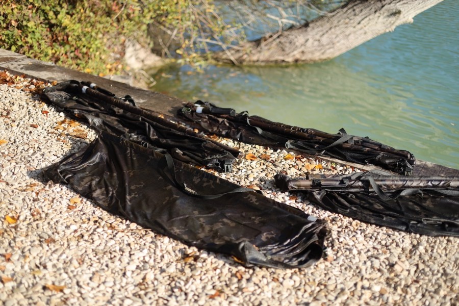 Busy morning in Co's