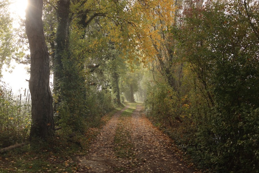 Very autumnal this week, warm days and chilly nights