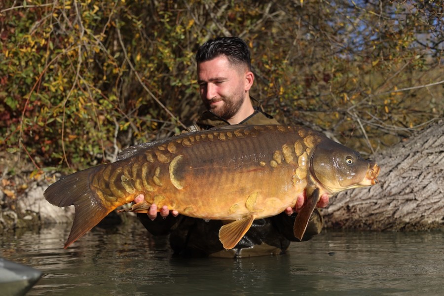 Chloe Rose at 30lb from Co's