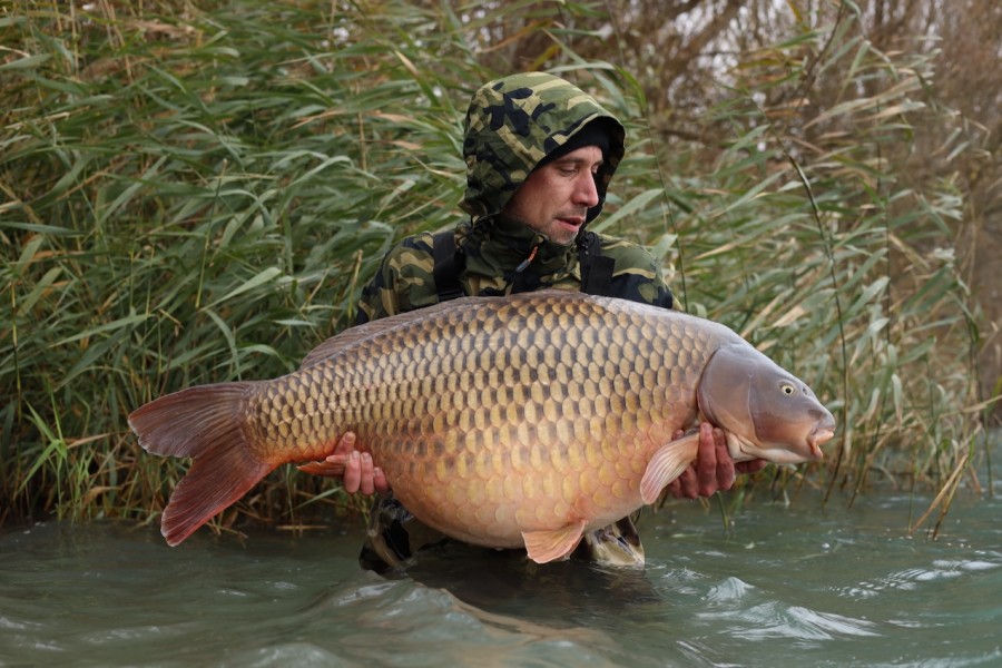 Wood's Common at 66lb for Tim in The Stink