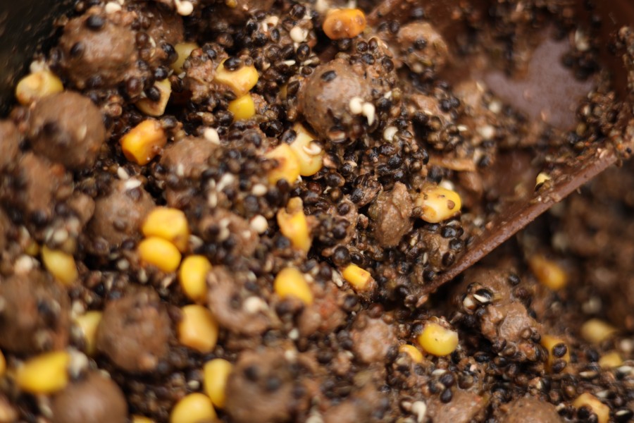 Bait for the session