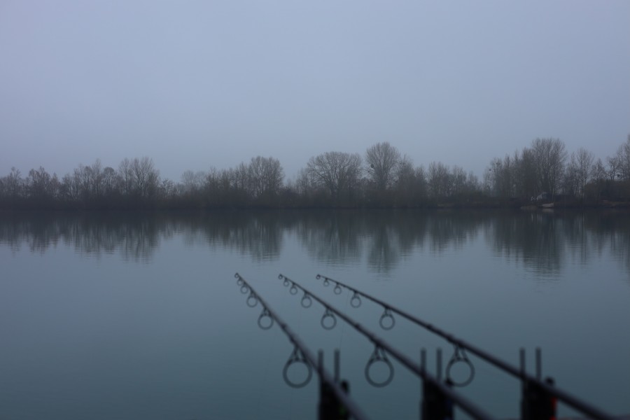 The Tits are just to left of the left hand rod, the two trees in the very far distance and the flat oak in just above the right hand rod