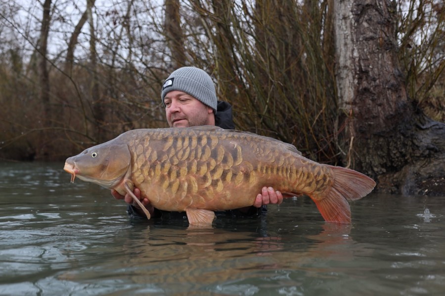 Lovely Scaly, Trans Pretty One weighing 39lb