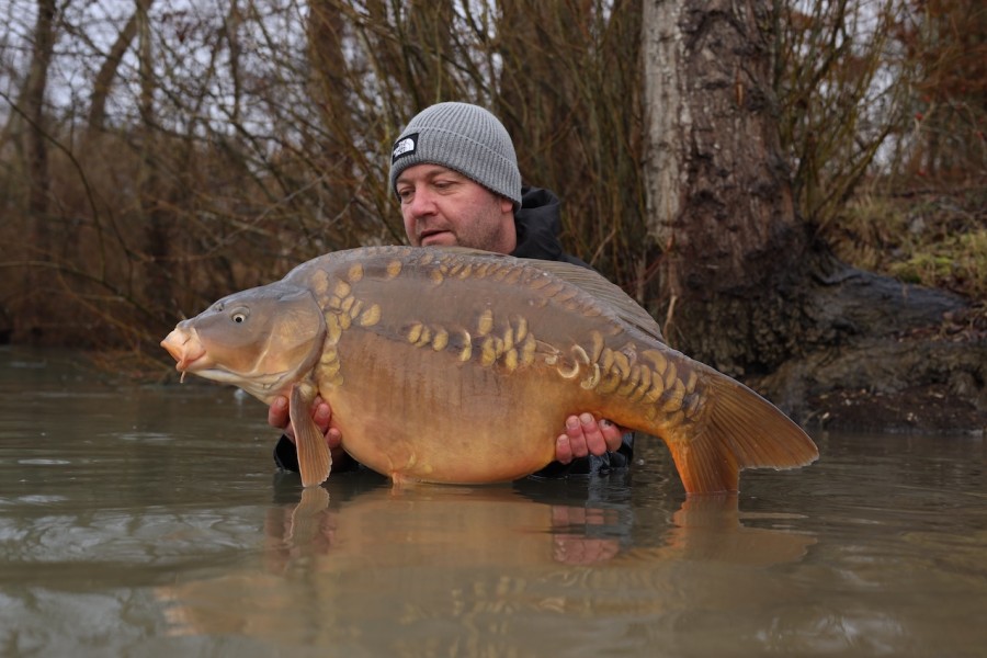 Tripple M at 36lb 8oz