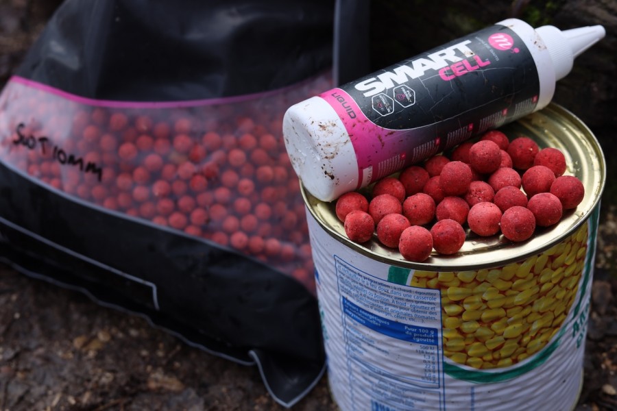 Darrell's bait approach in Bob's Beach