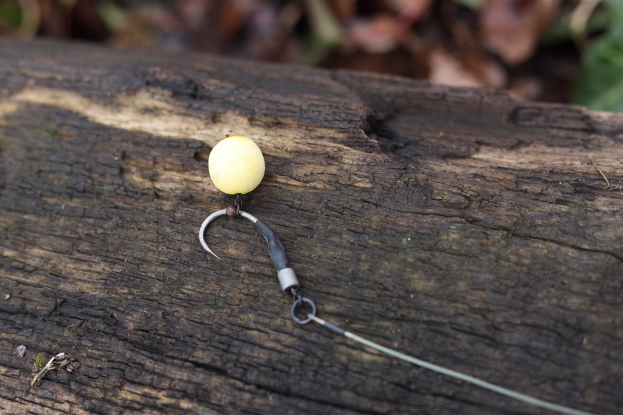 Mark's spinner rigs in The Alamo