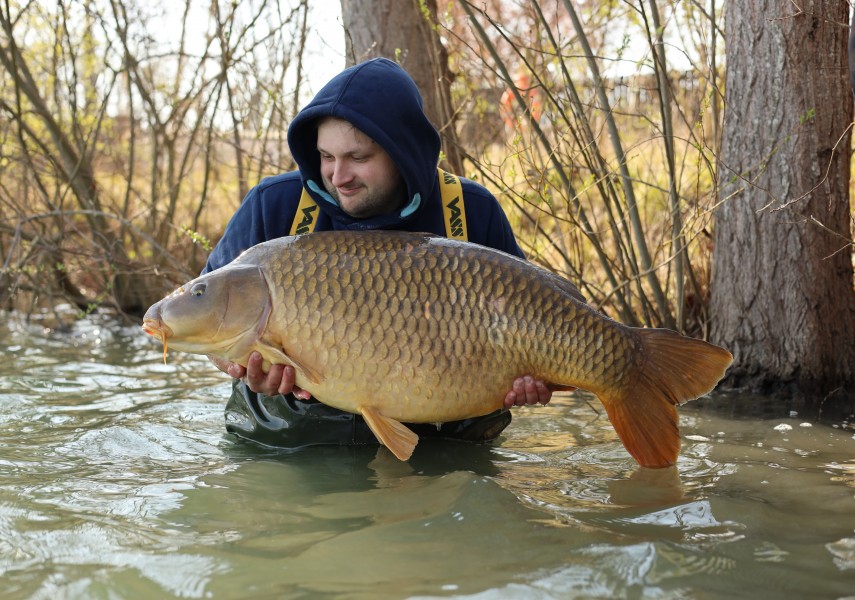 The Box Common